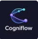 Perfil comercial verificado da Cogniflow
